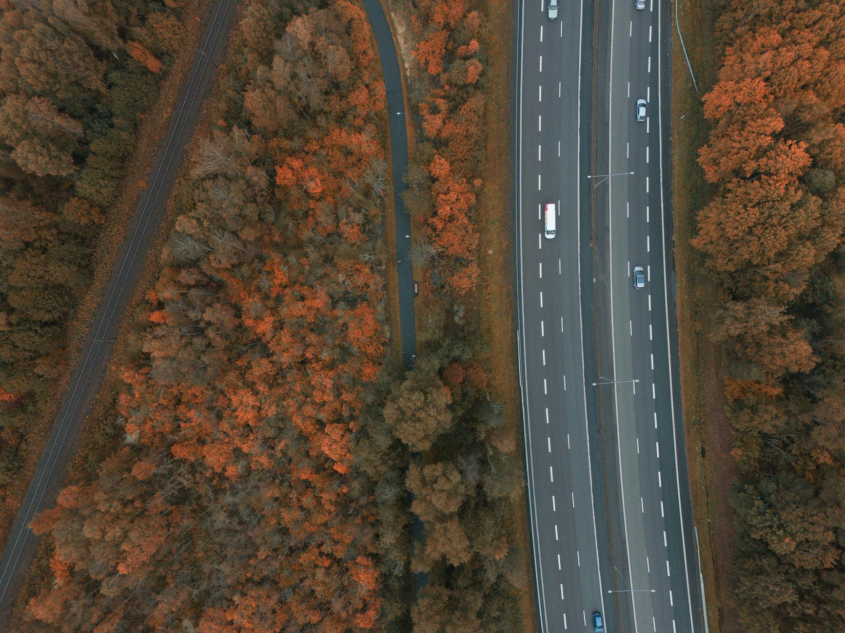 Drone shot of a highway through autumnal forest in Jönköping, Sweden.